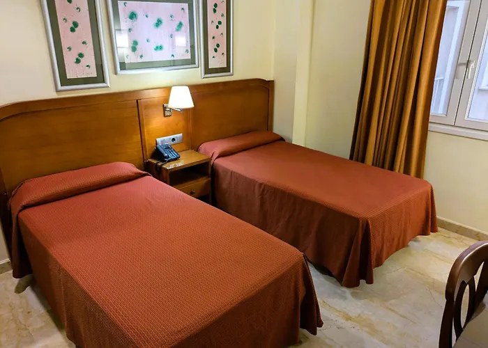 Perros hoteles Los Habaneros